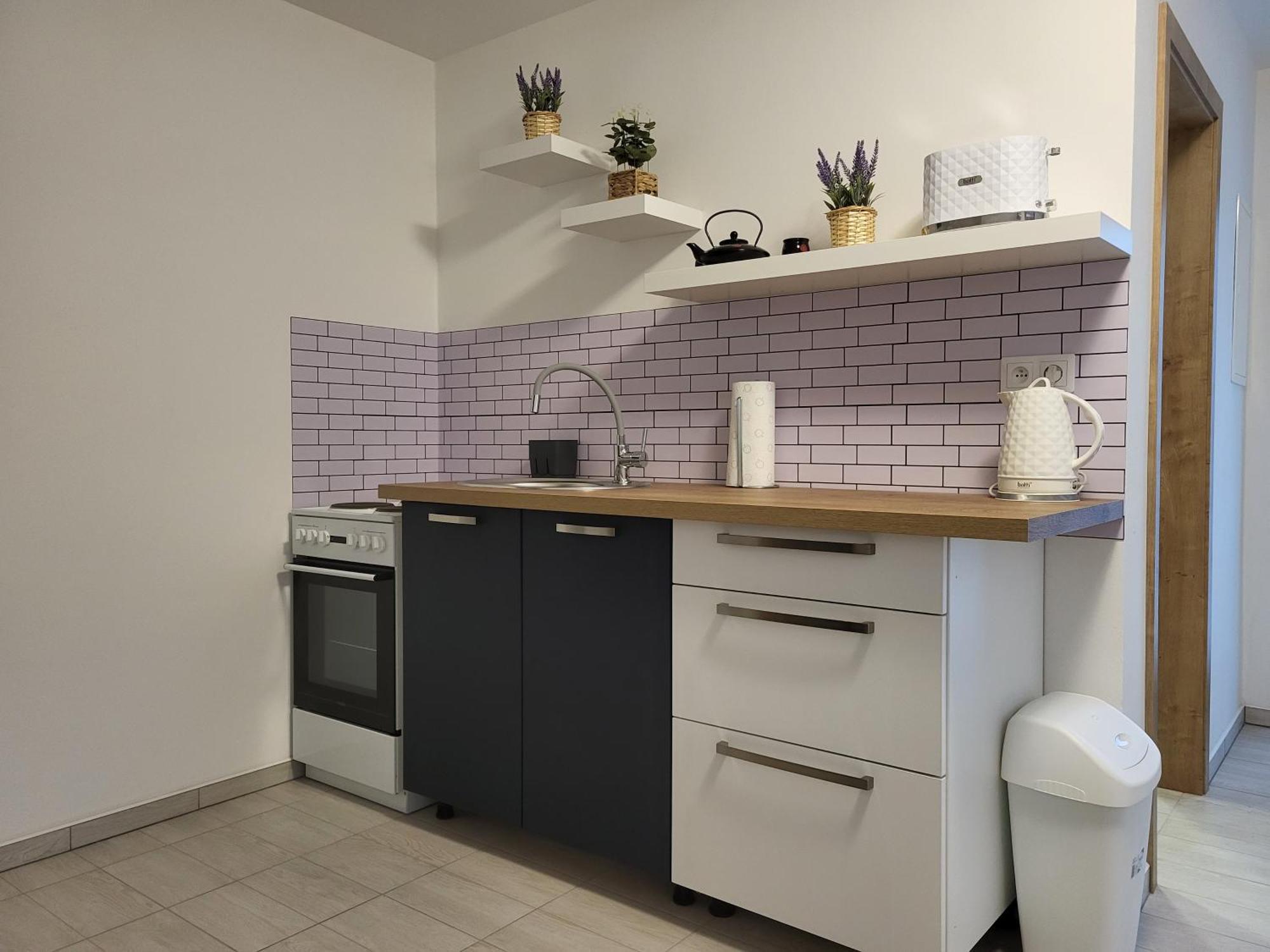 Apartman Na Karlicku Karlov (Pardubice) Exterior foto