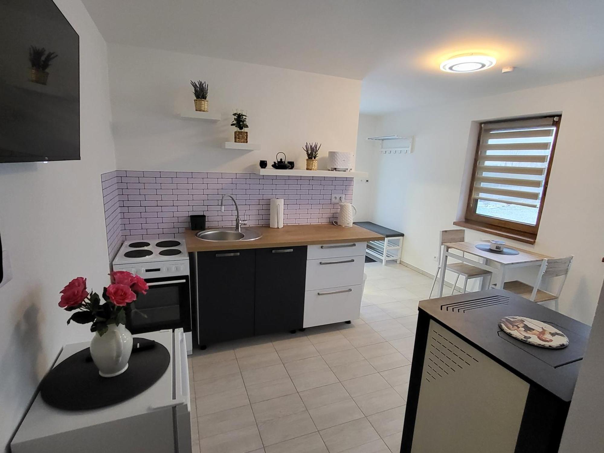 Apartman Na Karlicku Karlov (Pardubice) Exterior foto